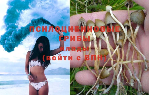прущая мука Ельня