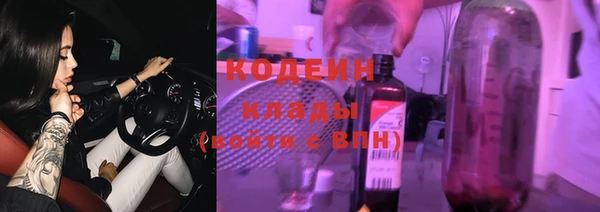 прущая мука Ельня