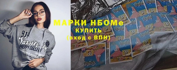прущая мука Ельня