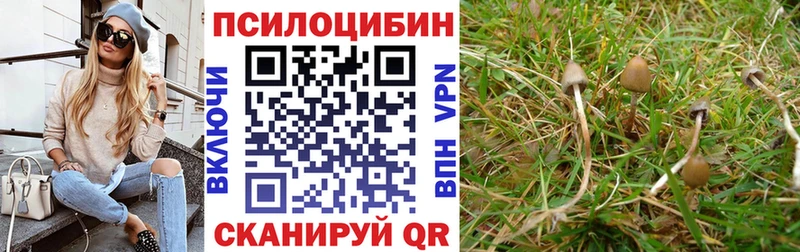 где продают наркотики площадка состав Галлюциногенные грибы Cubensis Зеленогорск
