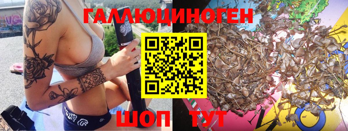 закладки  Галлюциногенные грибы MAGIC MUSHROOMS  Вход с VPN  Зеленогорск 