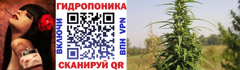Каннабис план  shop как зайти  Зеленогорск  omg ссылки 